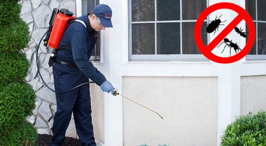 Demirköy Kene İlaçlama böcek ilaçlama ve haşere kontrolü — ilaclama-tr.com
